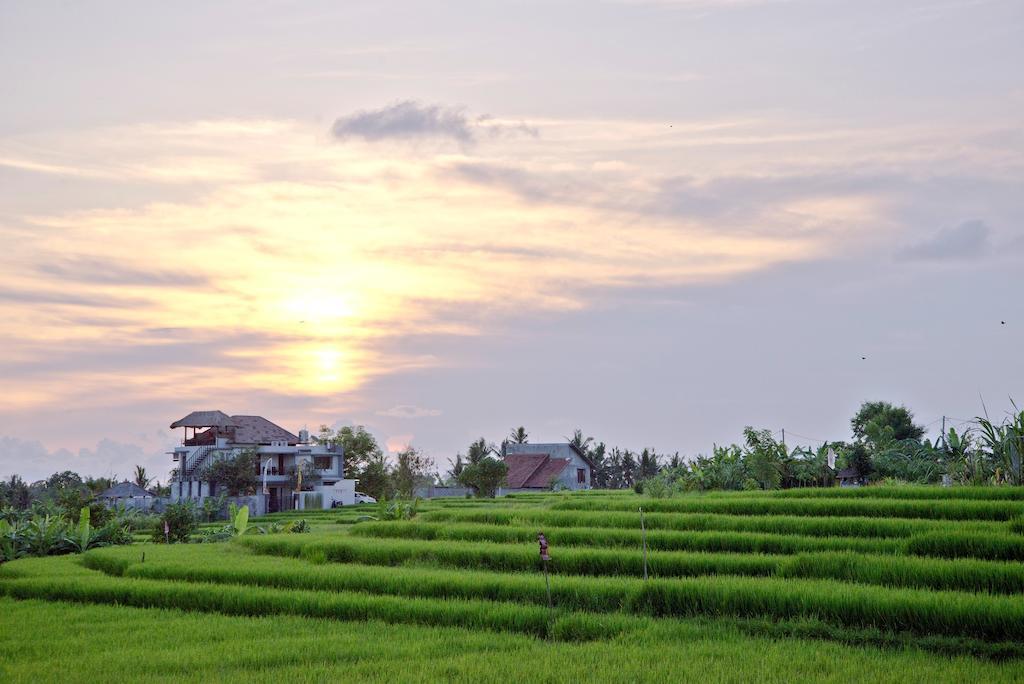 Paddy View Villa Kuta Lombok Exteriér fotografie