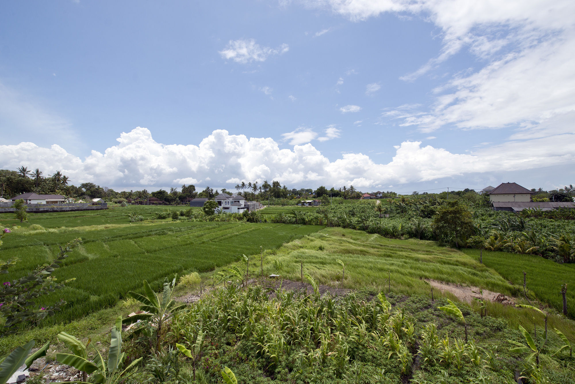 Paddy View Villa Kuta Lombok Exteriér fotografie