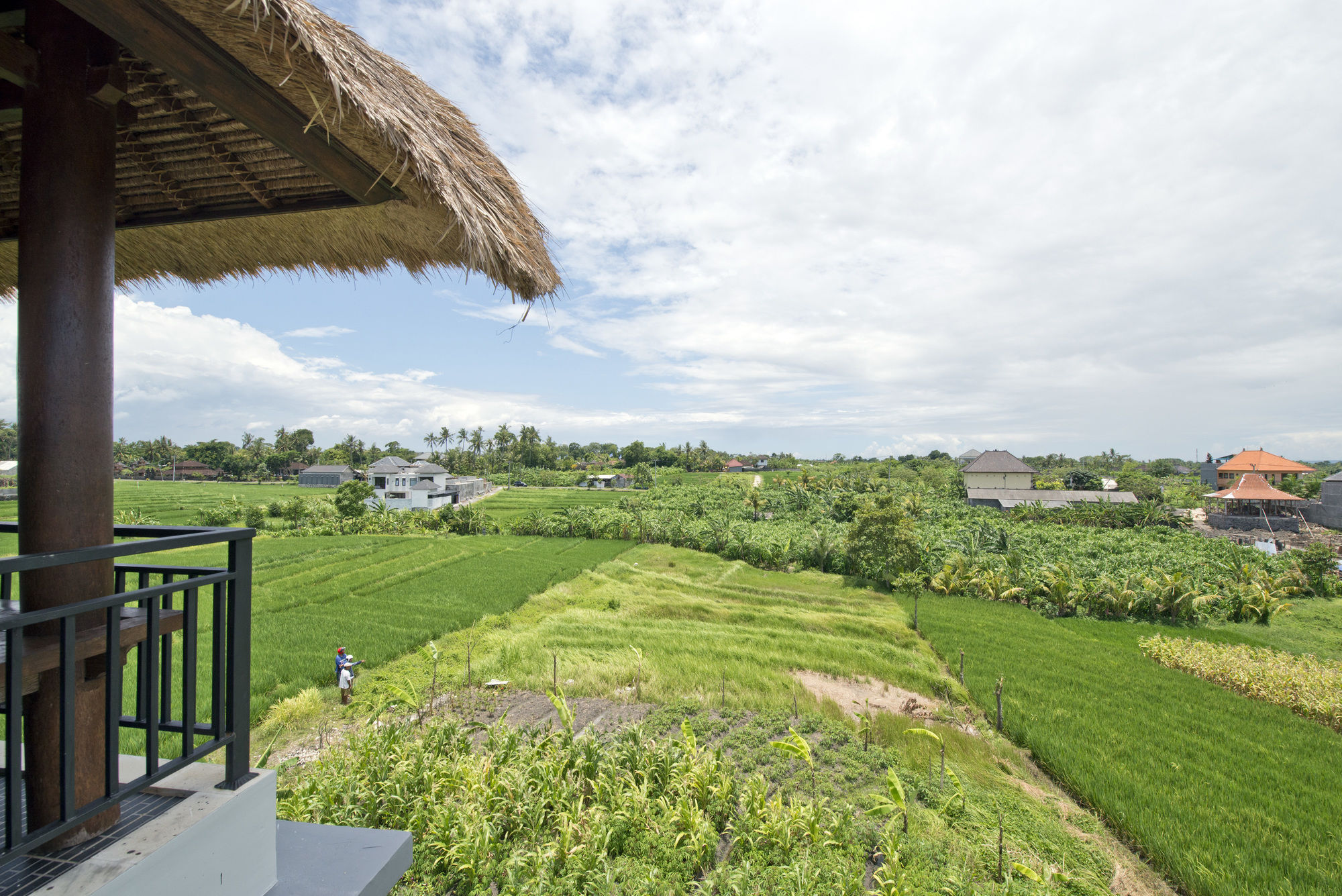 Paddy View Villa Kuta Lombok Exteriér fotografie